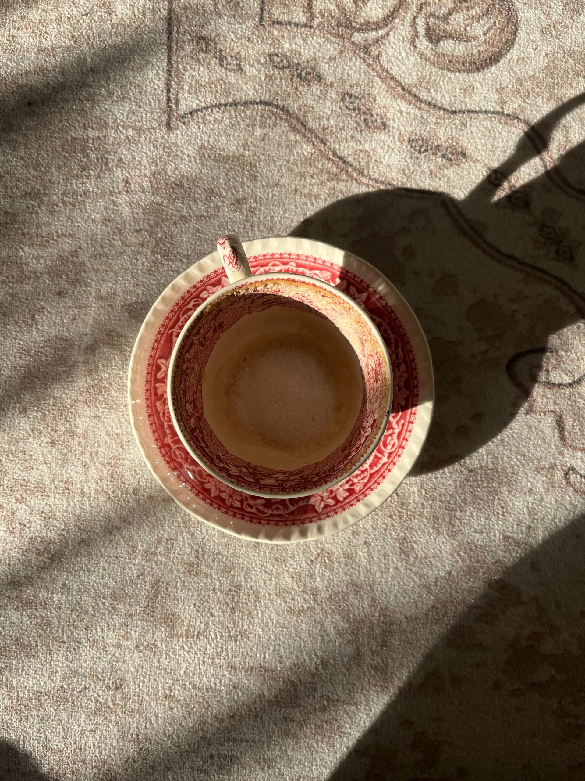 Shelton Haynes Leading Roosevelt Island Operating Corporation Towards a Bright Future